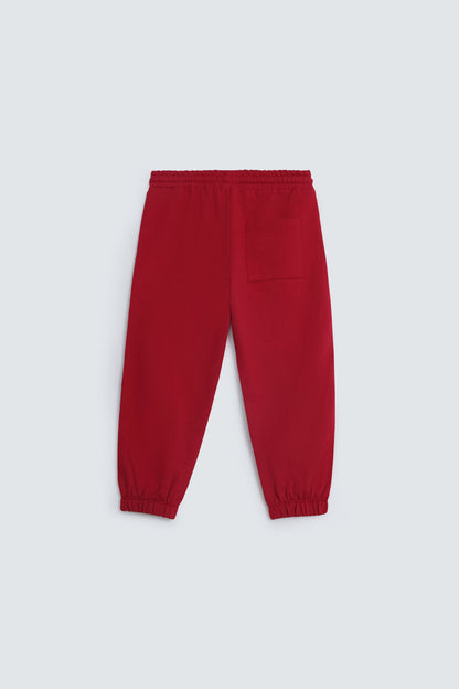 Regular Fit Jogger Trousers